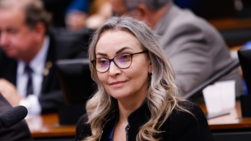 Daniela Reinehr vota contra Arcabouço Fiscal do governo