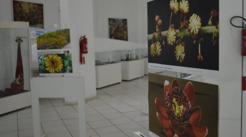 Centro Cultura recebe a mostra fotográfica “Flores Exóticas”