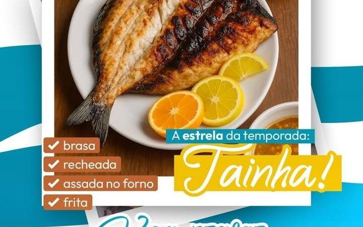 A Estrela da temporada: Tainha